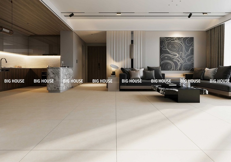 gạch lát nền phòng khách 800x800TASA 9055 men matt